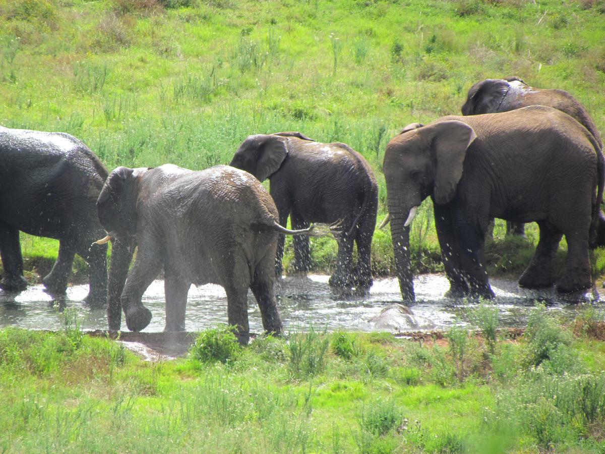 Buyskloof Hopewell Private Game Reserve מראה חיצוני תמונה